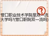 营口职业技术学院是双一流大学吗?(营口职院双一流吗)