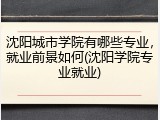 沈阳城市学院有哪些专业，就业前景如何(沈阳学院专业就业)