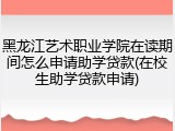 黑龙江艺术职业学院在读期间怎么申请助学贷款(在校生助学贷款申请)