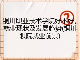铜川职业技术学院好不好，就业现状及发展趋势(铜川职院就业前景)