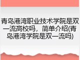 青岛港湾职业技术学院是双一流高校吗，简单介绍(青岛港湾学院是双一流吗)