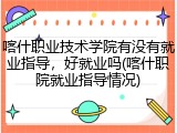 喀什职业技术学院有没有就业指导，好就业吗(喀什职院就业指导情况)