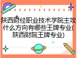 陕西财经职业技术学院主攻什么方向有哪些王牌专业(陕西财院王牌专业)