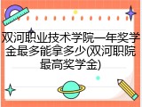 双河职业技术学院一年奖学金最多能拿多少(双河职院最高奖学金)