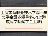 上海东海职业技术学院一年奖学金最多能拿多少(上海东海学院奖学金上限)