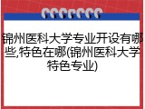 锦州医科大学专业开设有哪些,特色在哪(锦州医科大学特色专业)