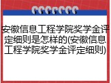 安徽信息工程学院奖学金评定细则是怎样的(安徽信息工程学院奖学金评定细则)