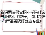 新疆司法警官职业学院什么专业就业比较好，原因是啥(新疆警院好就业专业)