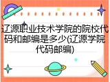 辽源职业技术学院的院校代码和邮编是多少(辽源学院代码邮编)