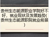 贵州生态能源职业学院好不好，就业现状及发展趋势(贵州生态能源职院就业前景)