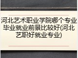 河北艺术职业学院哪个专业毕业就业前景比较好(河北艺职好就业专业)