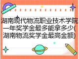 湖南现代物流职业技术学院一年奖学金最多能拿多少(湖南物流奖学金最高金额)