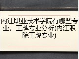 内江职业技术学院有哪些专业，王牌专业分析(内江职院王牌专业)