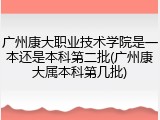 广州康大职业技术学院是一本还是本科第二批(广州康大属本科第几批)
