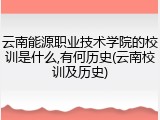 云南能源职业技术学院的校训是什么,有何历史(云南校训及历史)