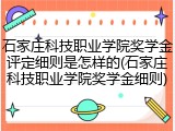 石家庄科技职业学院奖学金评定细则是怎样的(石家庄科技职业学院奖学金细则)