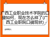 广西工业职业技术学院的口碑如何，现在怎么样了(广西工业职院口碑现状)