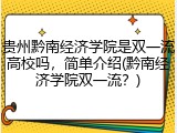 贵州黔南经济学院是双一流高校吗，简单介绍(黔南经济学院双一流？)