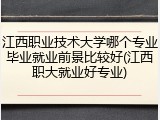 江西职业技术大学哪个专业毕业就业前景比较好(江西职大就业好专业)