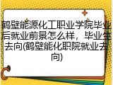 鹤壁能源化工职业学院毕业后就业前景怎么样，毕业生去向(鹤壁能化职院就业去向)