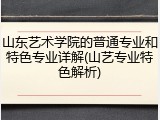 山东艺术学院的普通专业和特色专业详解(山艺专业特色解析)