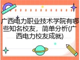 广西电力职业技术学院有哪些知名校友，简单分析(广西电力校友成就)