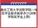 重庆工商大学派斯学院一年奖学金最多能拿多少(派斯学院奖学金上限)