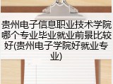 贵州电子信息职业技术学院哪个专业毕业就业前景比较好(贵州电子学院好就业专业)