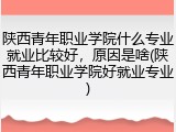 陕西青年职业学院什么专业就业比较好，原因是啥(陕西青年职业学院好就业专业)