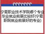 宁夏职业技术学院哪个专业毕业就业前景比较好(宁夏职院就业前景好的专业)
