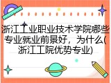 浙江工业职业技术学院哪些专业就业前景好，为什么(浙江工院优势专业)