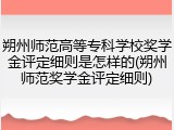 朔州师范高等专科学校奖学金评定细则是怎样的(朔州师范奖学金评定细则)