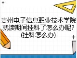 贵州电子信息职业技术学院就读期间挂科了怎么办呢？(挂科怎么办)