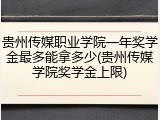 贵州传媒职业学院一年奖学金最多能拿多少(贵州传媒学院奖学金上限)
