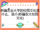 新疆农业大学的校园文化是什么，简介(新疆农大校园文化)