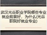 武汉光谷职业学院哪些专业就业前景好，为什么(光谷职院好就业专业)