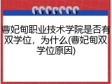 曹妃甸职业技术学院是否有双学位，为什么(曹妃甸双学位原因)