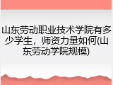 山东劳动职业技术学院有多少学生，师资力量如何(山东劳动学院规模)