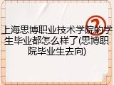 上海思博职业技术学院的学生毕业都怎么样了(思博职院毕业生去向)