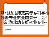湖北幼儿师范高等专科学校哪些专业就业前景好，为什么(湖北幼专好就业专业)