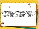 乌海职业技术学院是双一流大学吗?(乌海双一流？)