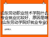 山东劳动职业技术学院什么专业就业比较好，原因是啥(山东劳动学院好就业专业)