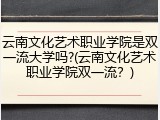 云南文化艺术职业学院是双一流大学吗?(云南文化艺术职业学院双一流？)