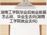 湖南工学院毕业后就业前景怎么样，毕业生去向(湖南工学院就业去向)