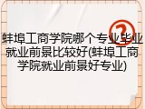 蚌埠工商学院哪个专业毕业就业前景比较好(蚌埠工商学院就业前景好专业)
