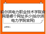 哈尔滨电力职业技术学院官网是哪个网址多少(哈尔滨电力学院官网)