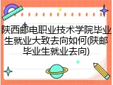 陕西邮电职业技术学院毕业生就业大致去向如何(陕邮毕业生就业去向)