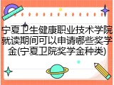 宁夏卫生健康职业技术学院就读期间可以申请哪些奖学金(宁夏卫院奖学金种类)