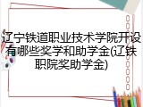 辽宁铁道职业技术学院开设有哪些奖学和助学金(辽铁职院奖助学金)