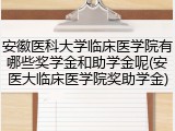 安徽医科大学临床医学院有哪些奖学金和助学金呢(安医大临床医学院奖助学金)